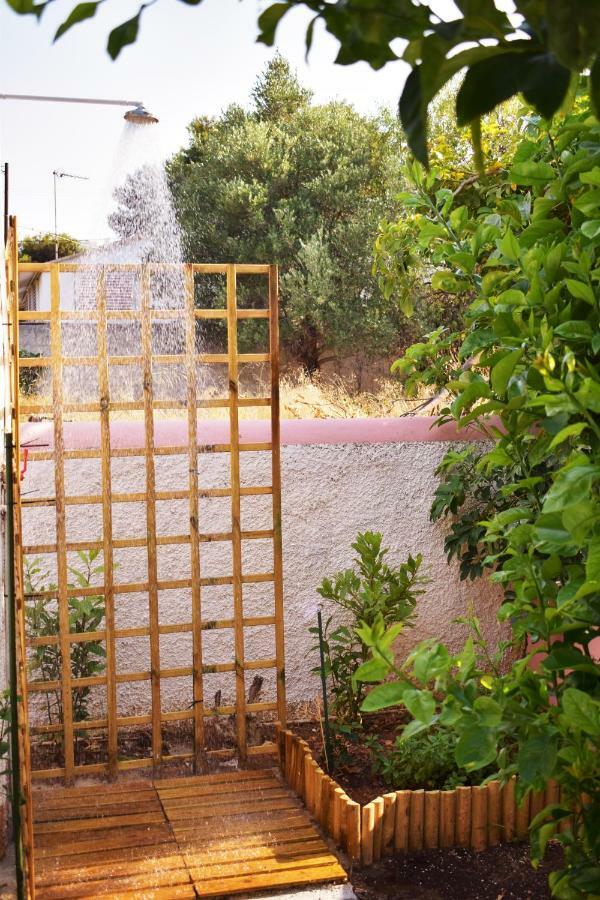 Urban Nature أرتيميدا المظهر الخارجي الصورة